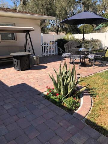 Back Patio