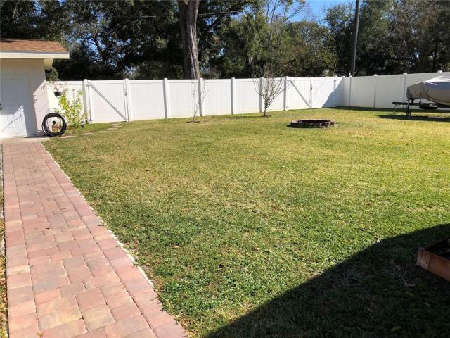 Backyard