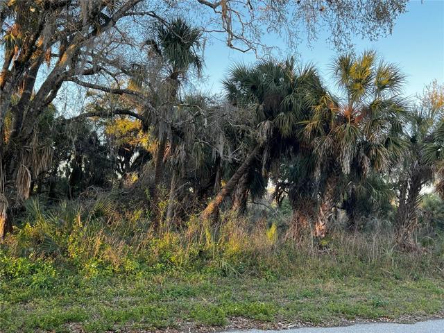 Current view of lot