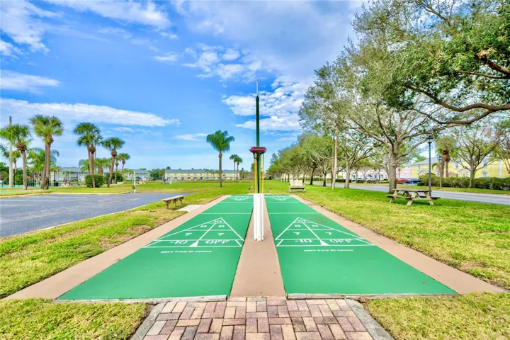 Shuffleboard