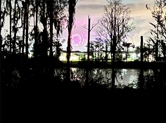 Disney Fireworkss
