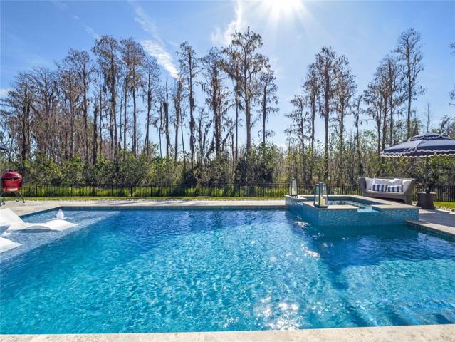 LUXURY POOL!  Everything is Upgraded!