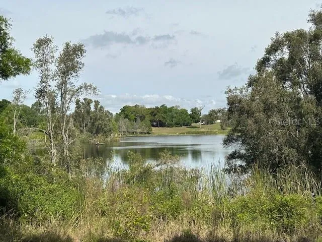 VIEW FROM BACK OF LOT TOWARDS LAKE