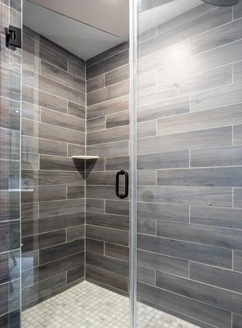 Updated Master Shower
