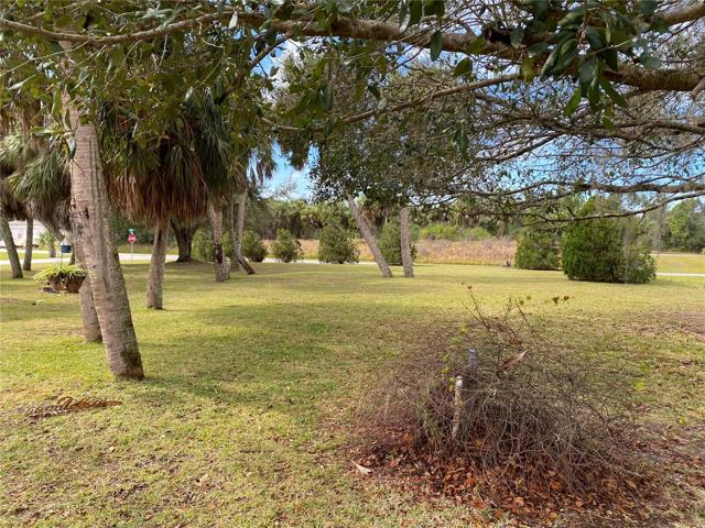 Side yard