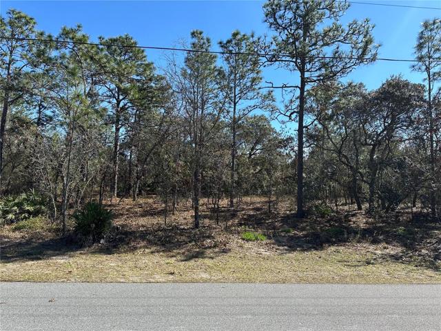 215 Lender Dr corner lot