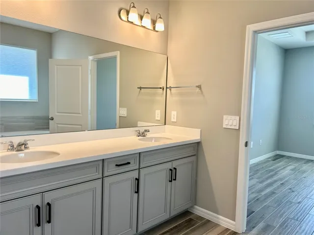 Primary Suite Bath features double sinks and walk in closet