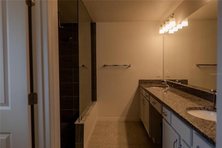 Master Shower