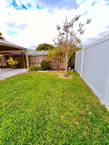 BACK YARD