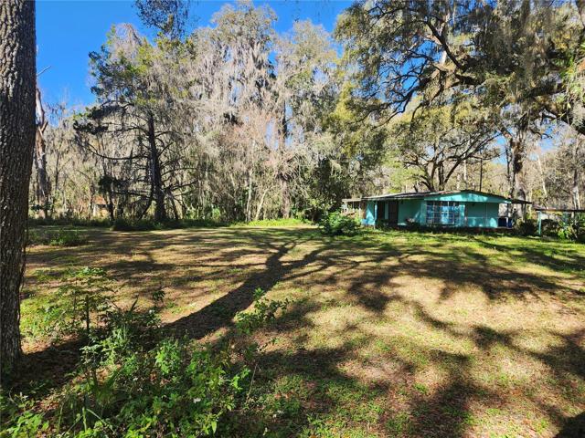 Front yard view