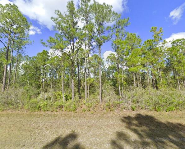 Looking north across the property