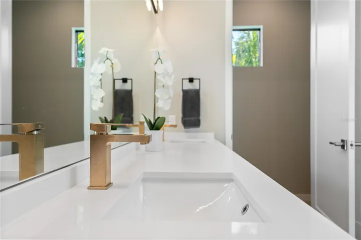 dual sinks