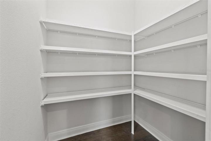 Walk-in Kitchen Pantry