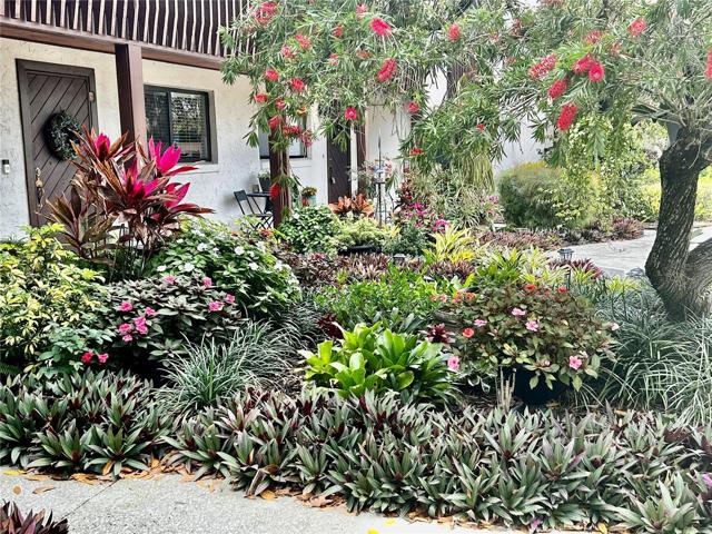 Front view of plants