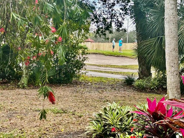 side yard