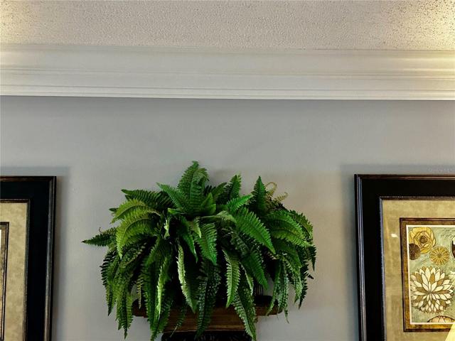 8 inch crown molding