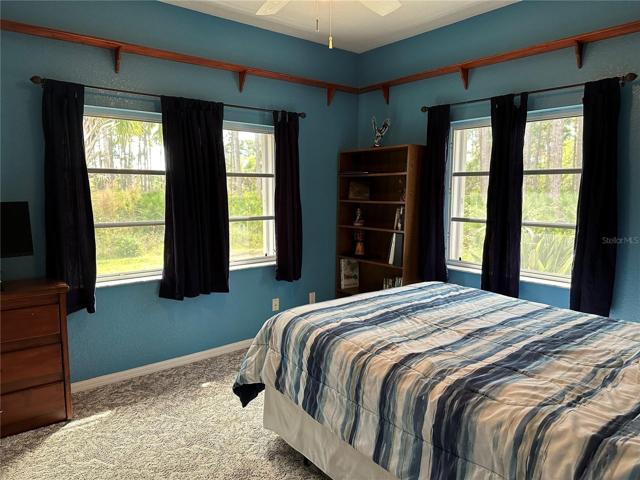 Bedroom 2-Lots of light