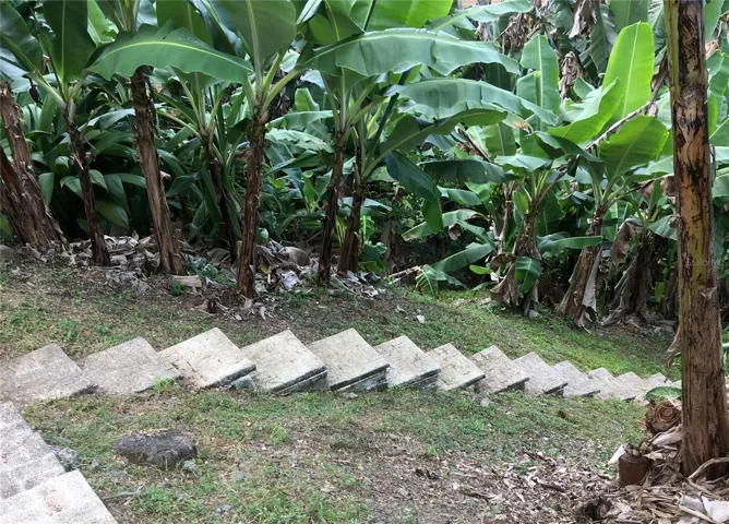 Stairs to lower lot