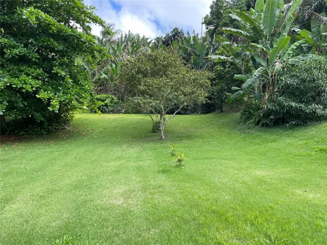 Lower Lot