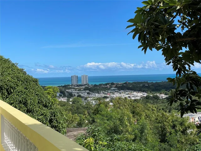 Back Deck View