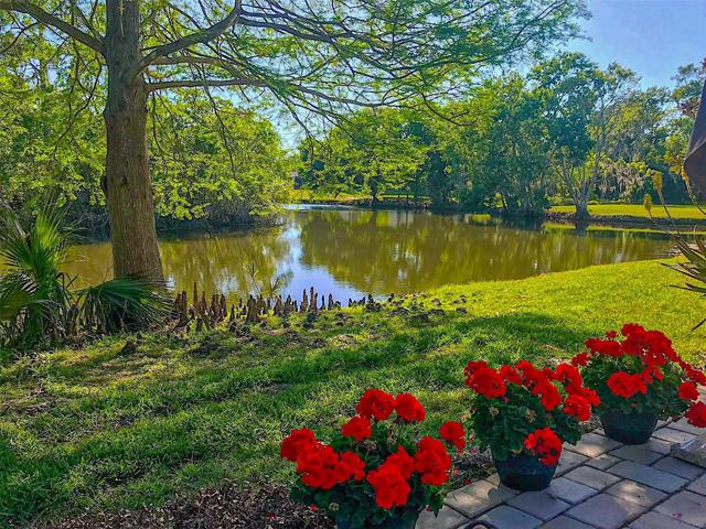 VIEW FROM REAR PATIO