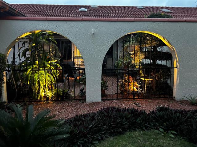 evening shots