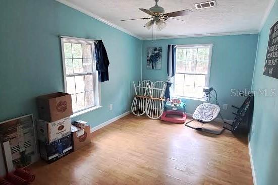 #3 br looking out