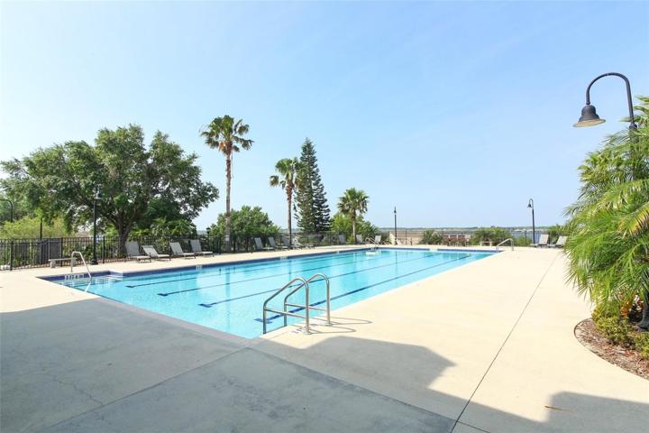 Olympic Lap Pool
