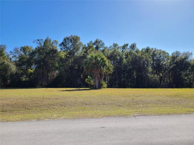 The largest lot in the subdivision at .76