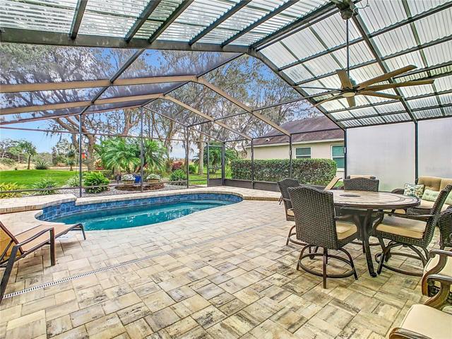 Pool/lanai view with paver patio, lush landscaping in the back yard and no back-yard neighbors.