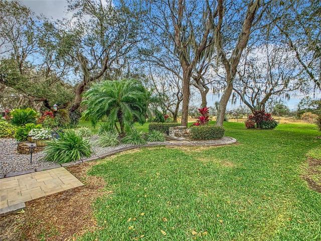 Back yard landscaping.