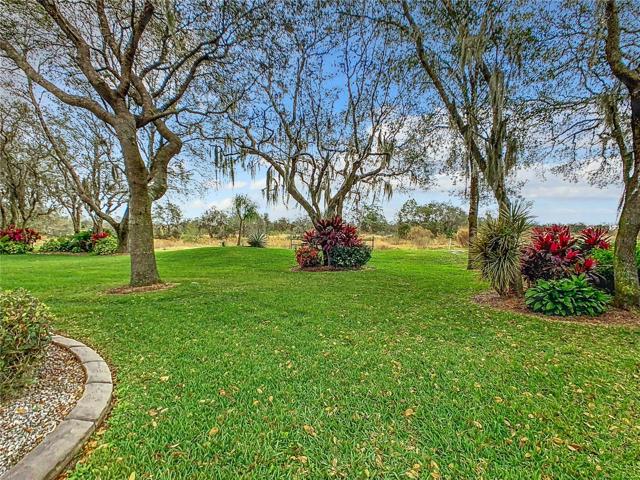 Beautiful back yard landscaping with NO BACKYARD NEIGHBORS.
