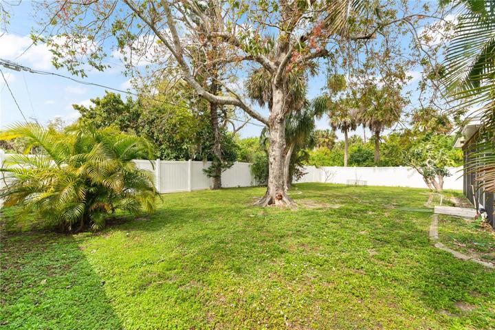 Mature shade trees in the rear yard