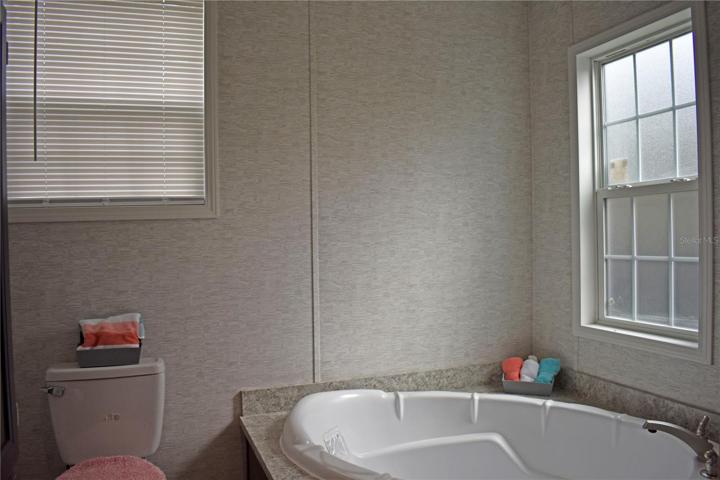 Master Bath Huge Shower.