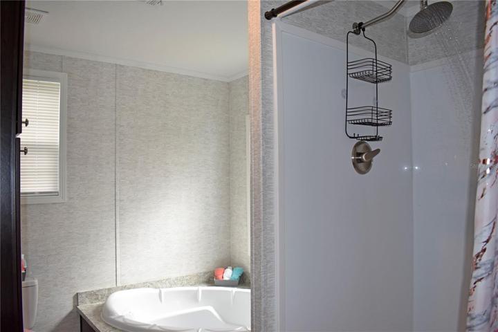 Master Bath with garden tub.