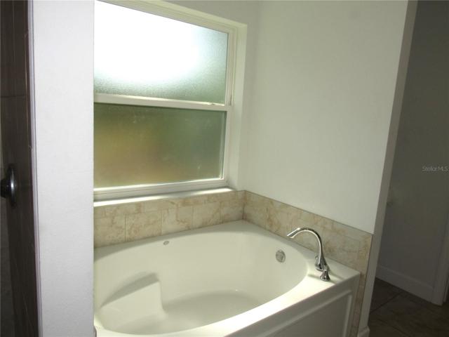 Primary Bathroom Garden Tub