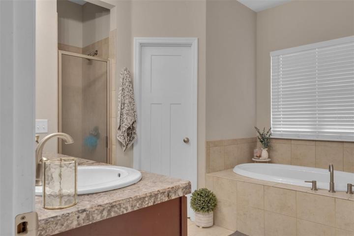 Owner's Bathroom