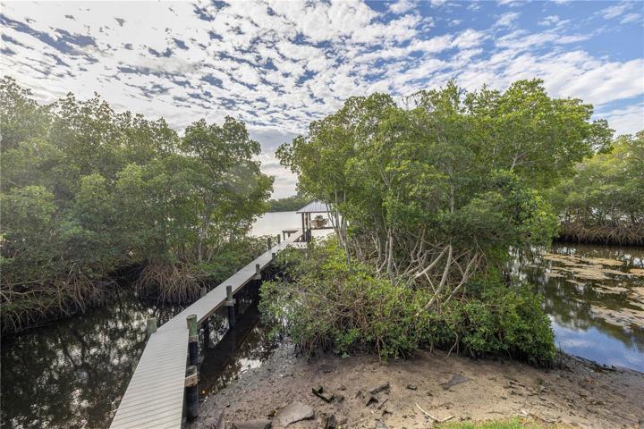 Nestled away within the mangroves