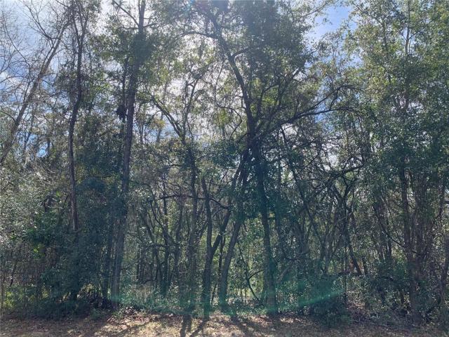 Presenting 570 W. Chase St. almost (.98) 1 acre home site situated in shady lined oak tree tranquil natural setting