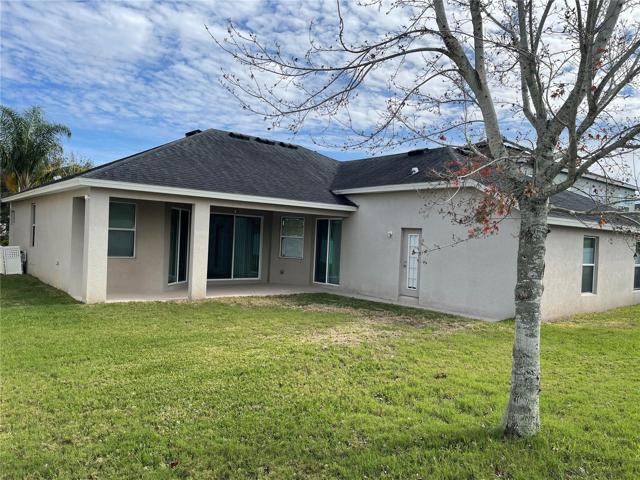 large back yard