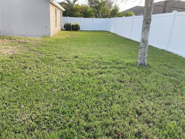 Spacious back yard