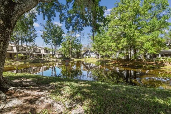 Peaceful Pond Views