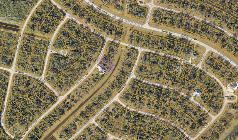 Neighborhood