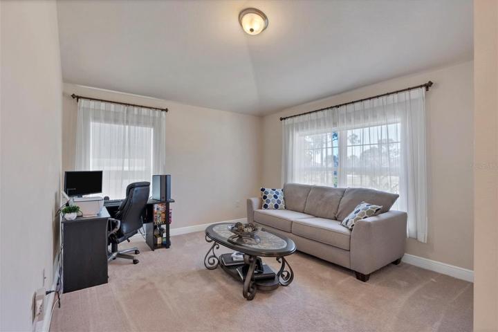 Living room/office
