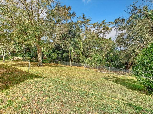 Large back yard with no rear neighbors.