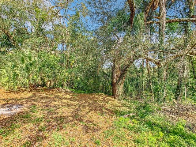 Trees and plants provide a private back-drop with lots of views of nature and wildlife.