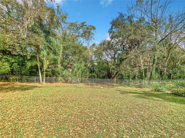Large back yard with no rear neighbors.