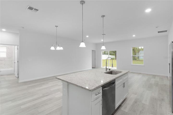 Dishwasher and sink in the island, with deep large bowl sink, high rise spray faucet, and disposal