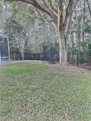 back yard
