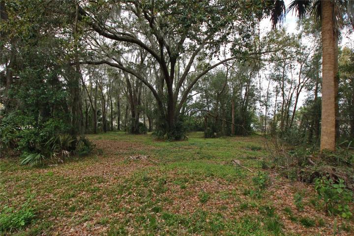 4821 INDIAN OAK DR, MULBERRY FL 33860